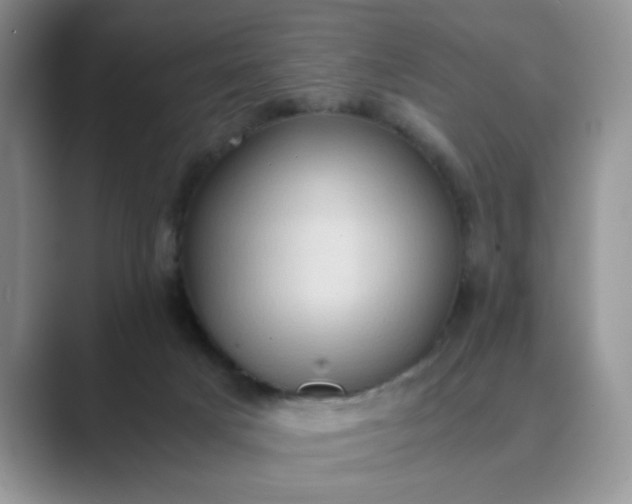 X0000089670025200707051556