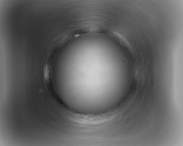 X0000089670026200707051556