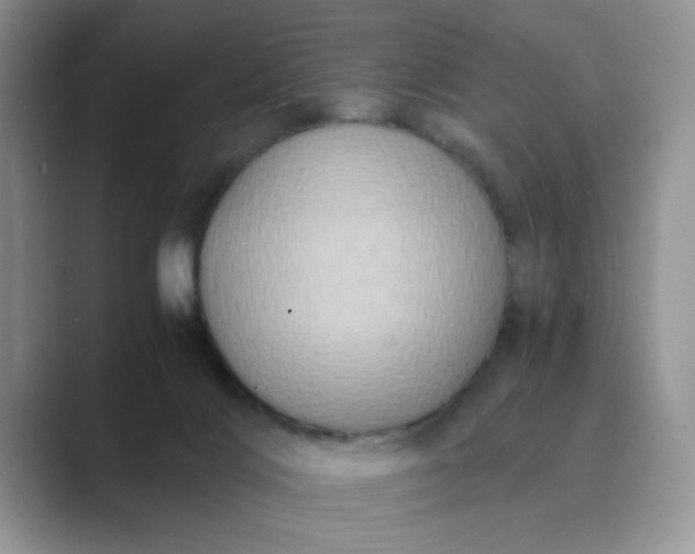 X0000089670028200707051556