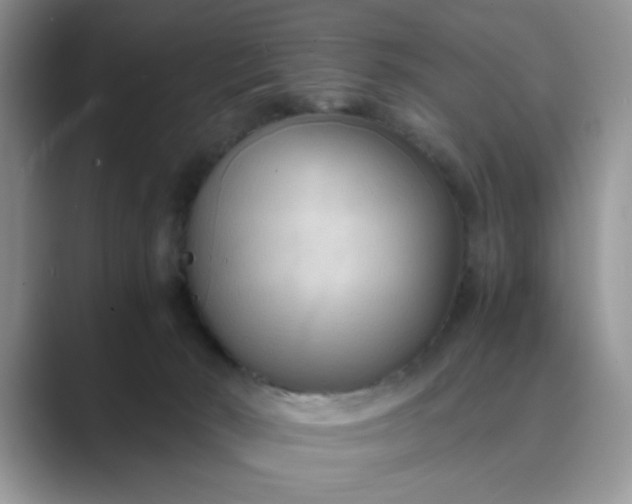 X0000089670030200707051556
