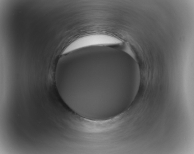 X0000089670035200707051556