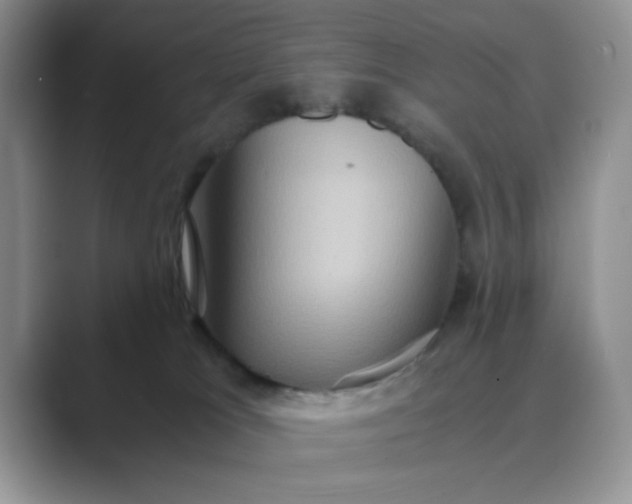 X0000089670037200707051556