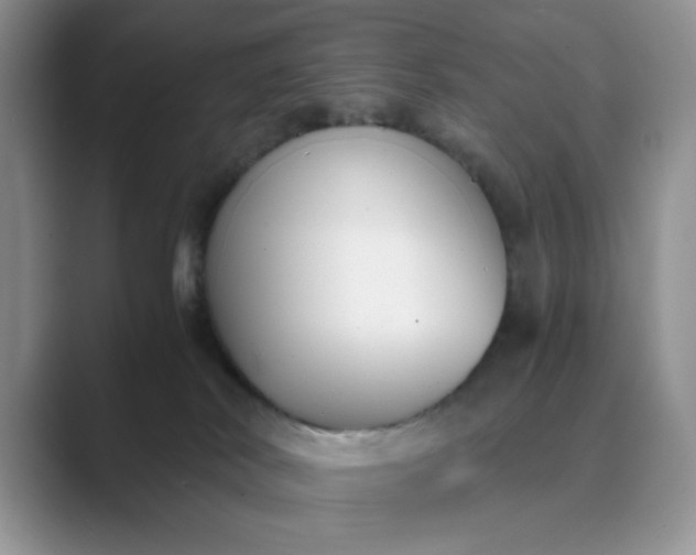 X0000089670038200707051556