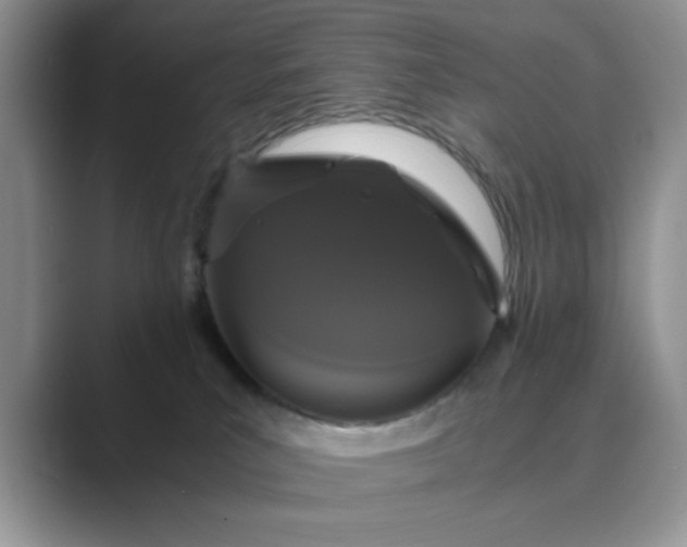 X0000089670039200707051556