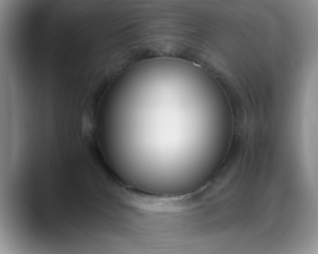 X0000089670040200707051556