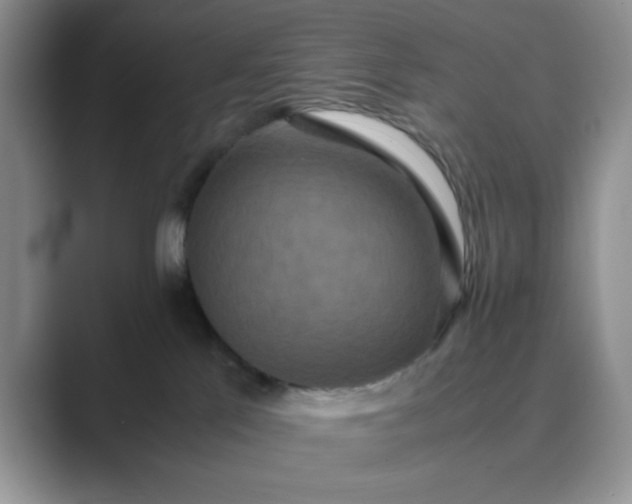 X0000089670041200707051556