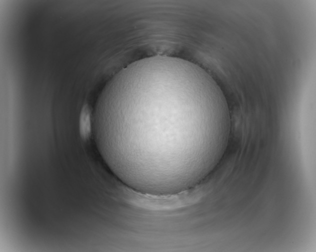 X0000089670042200707051556