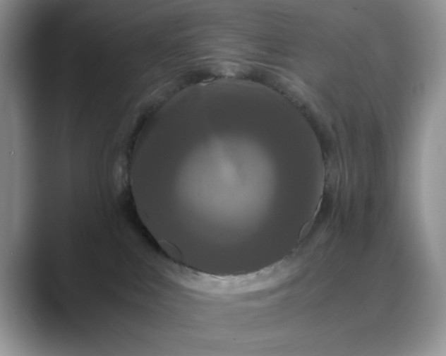 X0000089670043200707051556