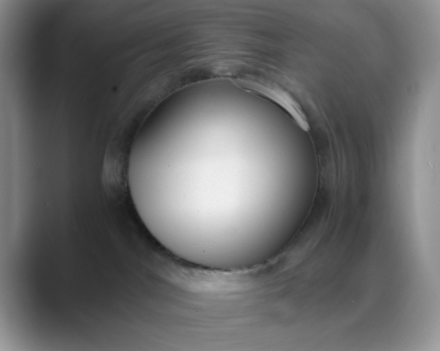 X0000089670044200707051556