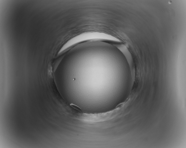 X0000089670045200707051556