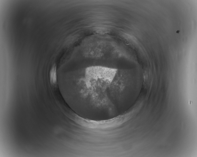 X0000089670046200707051556