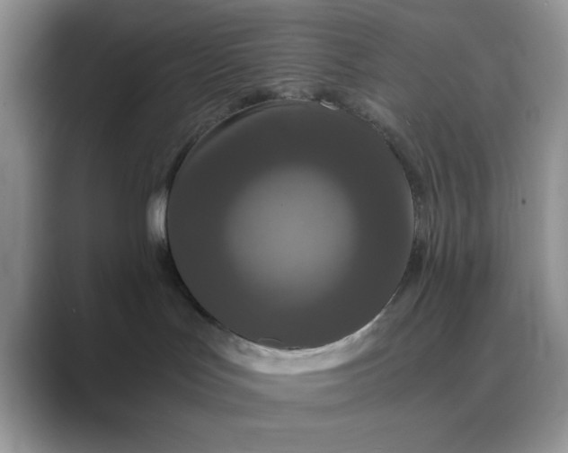 X0000089670047200707051556