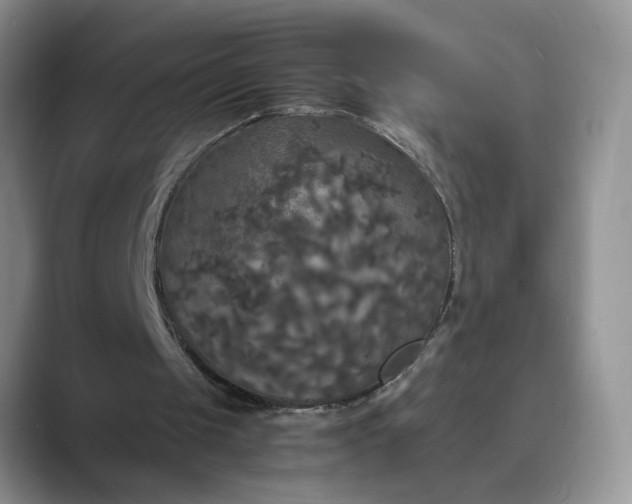 X0000089670049200707051556