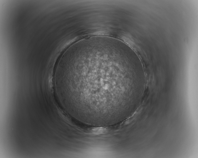 X0000089670050200707051556