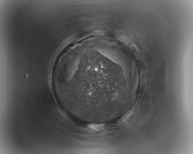X0000089670051200707051556