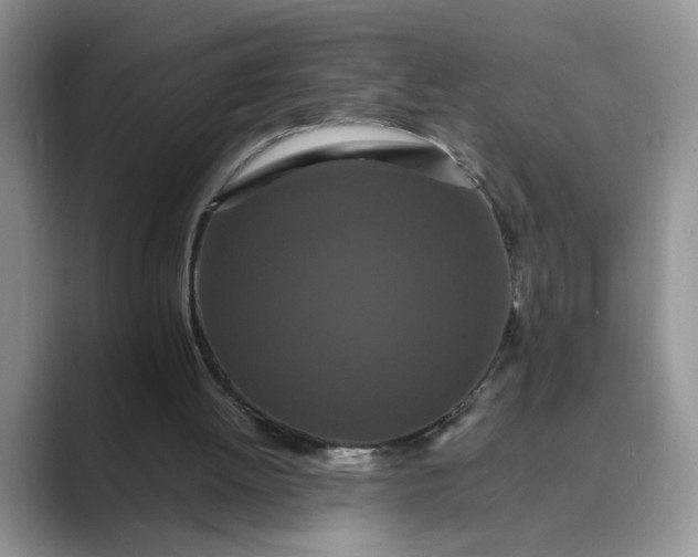 X0000089670052200707051556