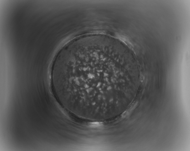 X0000089670053200707051556