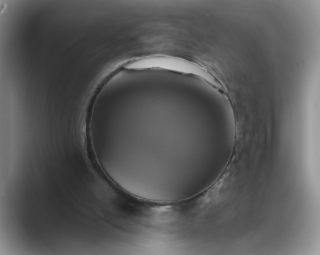 X0000089670054200707051556