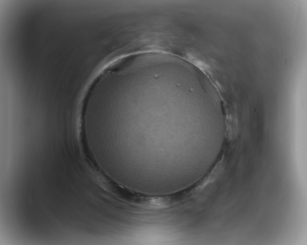 X0000089670056200707051556