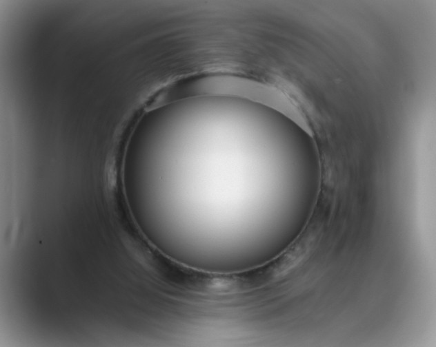 X0000089670060200707051556