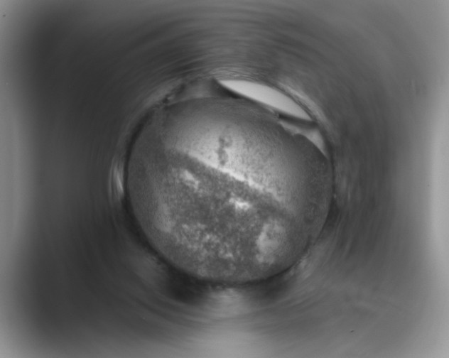 X0000089670062200707051556