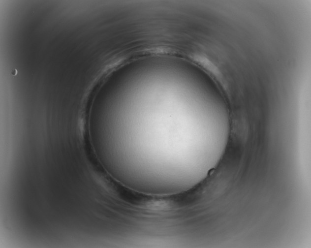 X0000089670063200707051556