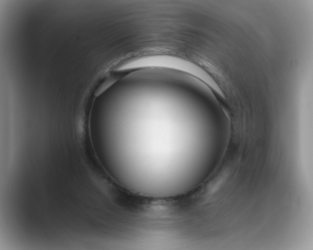 X0000089670064200707051556