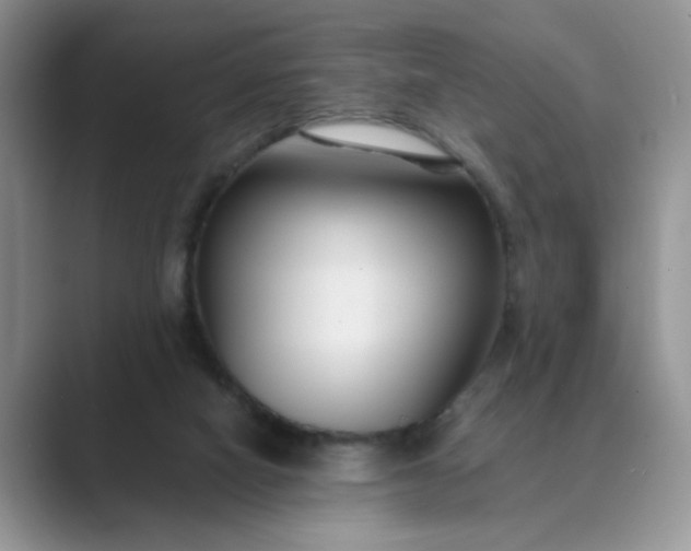 X0000089670066200707051556