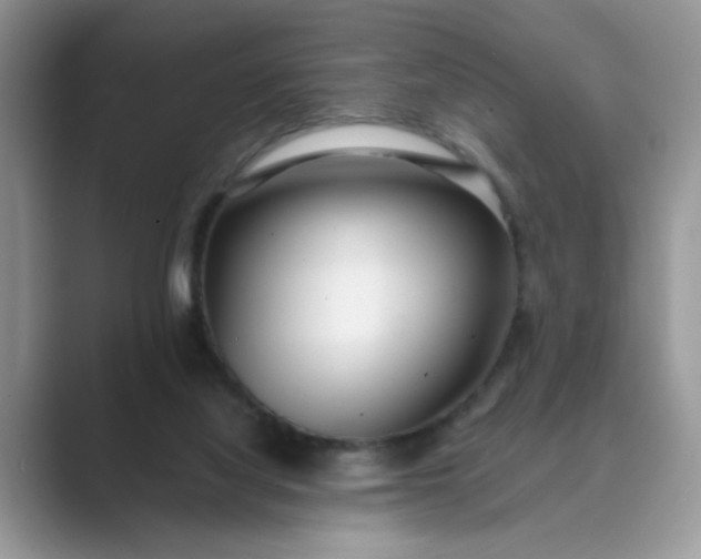 X0000089670068200707051556