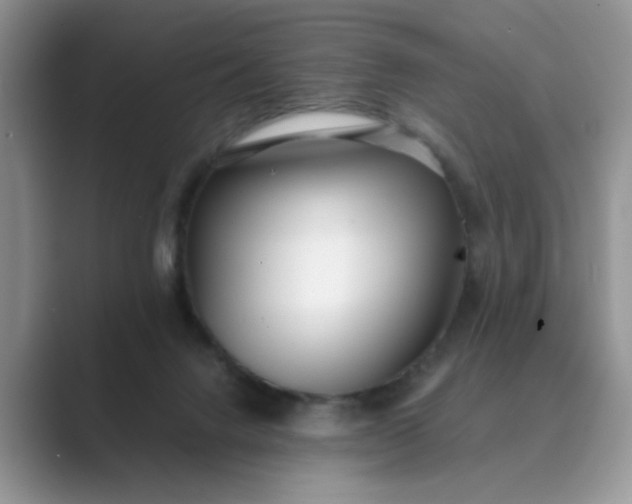 X0000089670072200707051556