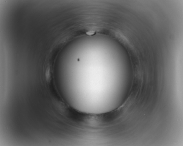 X0000089670074200707051556