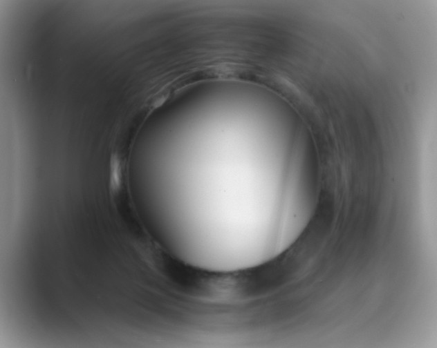 X0000089670075200707051556