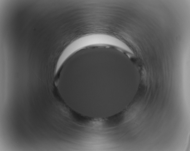 X0000089670076200707051556