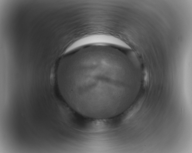 X0000089670080200707051556