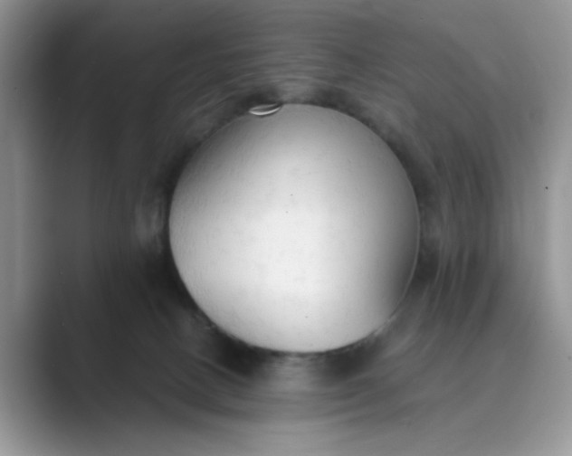 X0000089670082200707051556