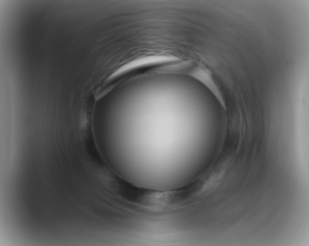 X0000089670084200707051556