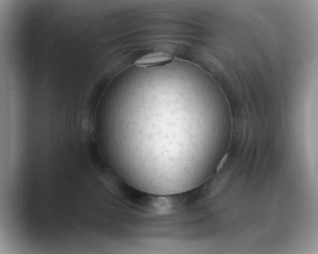 X0000089670091200707051556