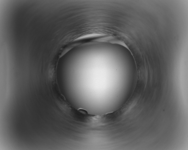 X0000089670092200707051556