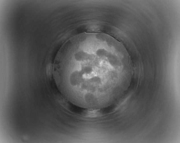 X0000089670093200707051556
