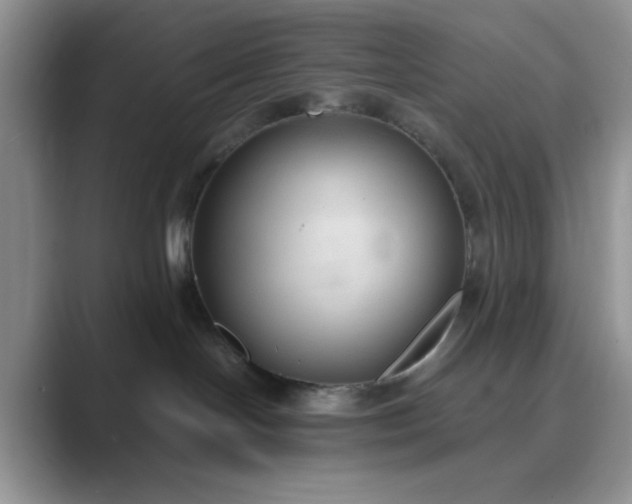 X0000089670094200707051556