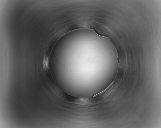 X0000089670095200707051556