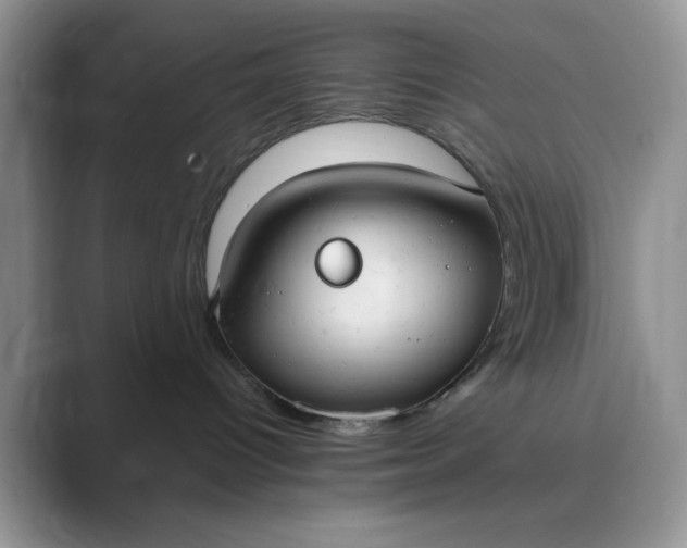 X0000089670096200707051556