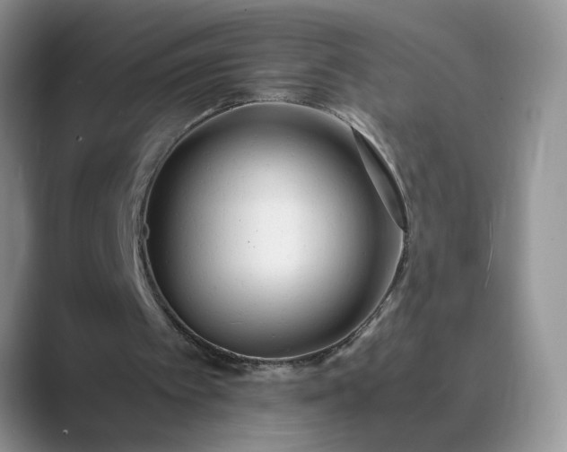 X0000089670097200707051556