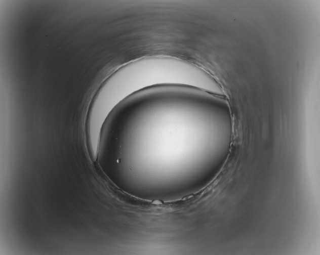 X0000089670099200707051556