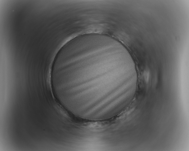 X0000089670100200707051556