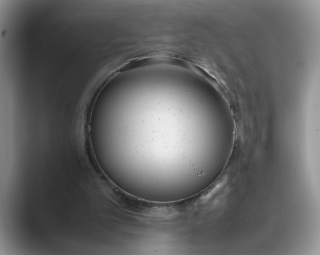 X0000089670101200707051555