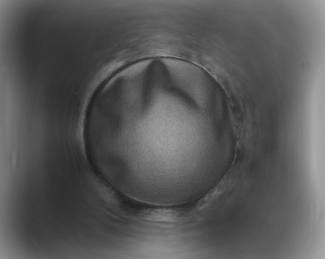 X0000089670104200707051555
