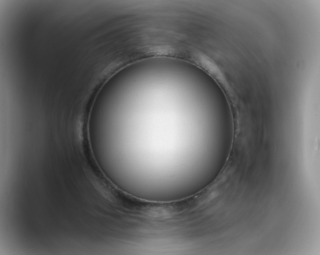 X0000089670106200707051555