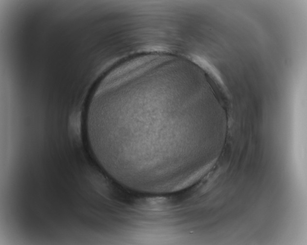 X0000089670108200707051555
