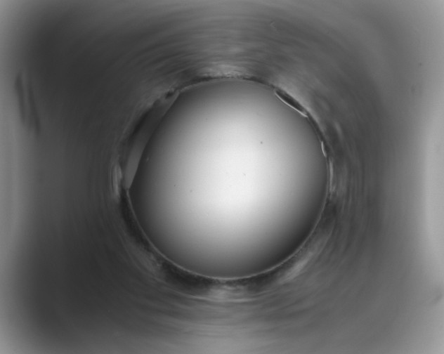 X0000089670109200707051555